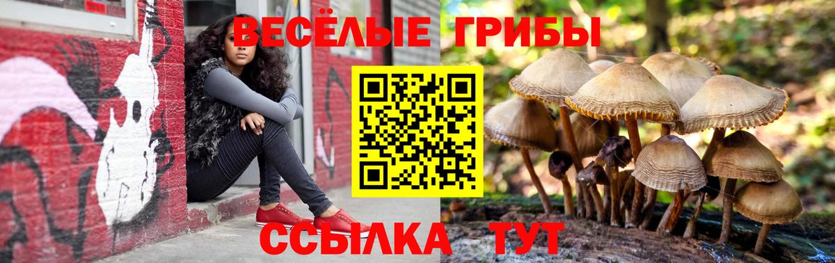 Псилоцибиновые грибы GOLDEN TEACHER  Галлюциногенные грибы Cubensis  Якутск  Вход с VPN 